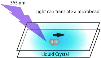 Graphical abstract: Light-induced displacement of a microbead through the thermal expansion of liquid crystals