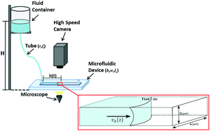 Graphical abstract: Front microrheology of the non-Newtonian behaviour of blood: scaling theory of erythrocyte aggregation by aging