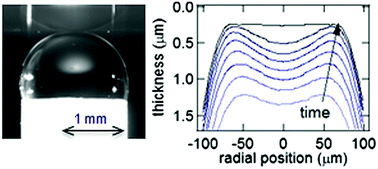 Graphical abstract: Water film squeezed between oil and solid: drainage towards stabilization by disjoining pressure