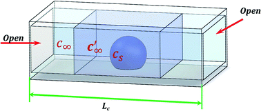 Graphical abstract: Confinement-induced alterations in the evaporation dynamics of sessile droplets