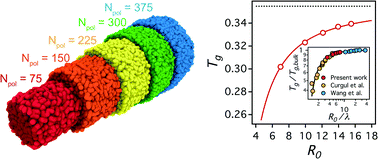 Graphical abstract: The glass transition and interfacial dynamics of single strand fibers of polymers