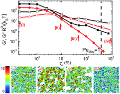 Graphical abstract: Colloidal gels tuned by oscillatory shear