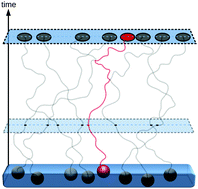 Graphical abstract: Single file dynamics in soft materials