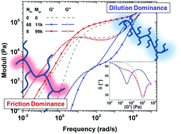 Graphical abstract: Closer insight into the structure of moderate to densely branched comb polymers by combining modelling and linear rheological measurements