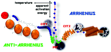 Graphical abstract: Stereodynamic control of star-epoxy/anhydride crosslinking actuated by liquid-crystalline phase transitions