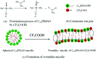 Graphical abstract: Formation and rheological behavior of wormlike micelles in a catanionic system of fluoroacetic acid and tetradecyldimethylaminoxide