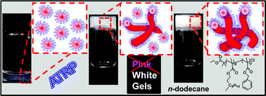 Graphical abstract: Self-assembly of poly(lauryl methacrylate)-b-poly(benzyl methacrylate) nano-objects synthesised by ATRP and their temperature-responsive dispersion properties