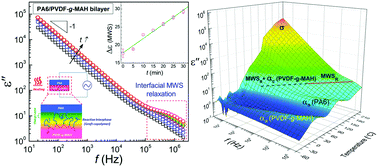 Graphical abstract: Rheological and dynamic insights into an in situ reactive interphase with graft copolymers in multilayered polymer systems
