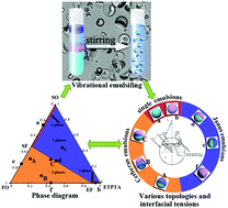 Graphical abstract: Single, Janus, and Cerberus emulsions from the vibrational emulsification of oils with significant mutual solubility