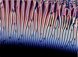 Graphical abstract: Structures in the meniscus of smectic membranes: the role of dislocations?