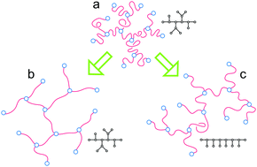 Graphical abstract: Flory theory of randomly branched polymers