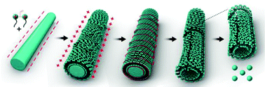 Graphical abstract: Facile fabrication of Sudan red particle microcapsules by a polymerizable gemini surfactant and molecular assembly mechanisms