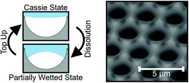 Graphical abstract: Active gas replenishment and sensing of the wetting state in a submerged superhydrophobic surface