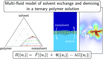 Graphical abstract: A multi-fluid model for microstructure formation in polymer membranes
