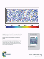 Graphical abstract: Back cover