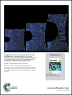Graphical abstract: Back cover