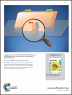 Graphical abstract: Back cover