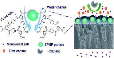 Graphical abstract: Bio-inspired fabrication of high perm-selectivity and anti-fouling membranes based on zwitterionic polyelectrolyte nanoparticles