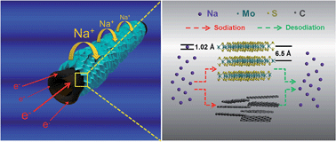 Graphical abstract: MoS2 nanosheets grown on amorphous carbon nanotubes for enhanced sodium storage