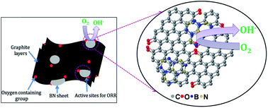 Graphical abstract: Three dimensional nanocomposite of reduced graphene oxide and hexagonal boron nitride as an efficient metal-free catalyst for oxygen electroreduction