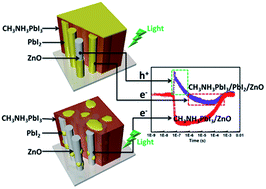 Graphical abstract: Intrinsic charge carrier dynamics and device stability of perovskite/ZnO mesostructured solar cells in moisture