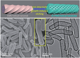 Graphical abstract: One-dimensional periodic mesoporous organosilica helical nanotubes with amphiphilic properties for the removal of contaminants from water