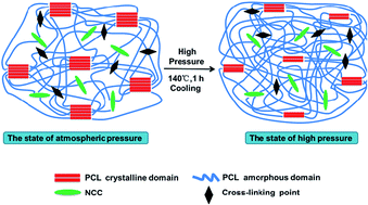 Graphical abstract: The improvement of the shape memory function of poly(ε-caprolactone)/nano-crystalline cellulose nanocomposites via recrystallization under a high-pressure environment