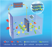 Graphical abstract: Monolithic three-dimensional graphene frameworks derived from inexpensive graphite paper as advanced anodes for microbial fuel cells