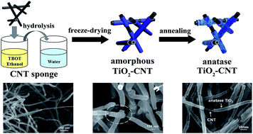 Graphical abstract: Coaxial TiO2–carbon nanotube sponges as compressible anodes for lithium-ion batteries