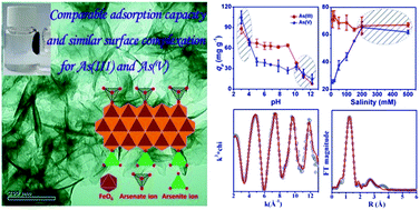 Graphical abstract: Low temperature synthesized ultrathin γ-Fe2O3 nanosheets show similar adsorption behaviour for As(iii) and As(v)