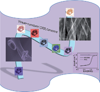 Graphical abstract: N,S-Codoped microporous carbon nanobelts with blooming nanoflowers for oxygen reduction