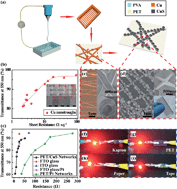 Graphical abstract: Transparent conducting oxide-free and Pt-free flexible dye-sensitized solar cells employing CuS-nanosheet networks as counter electrodes