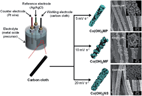 Graphical abstract: Highly ordered, polypyrrole-coated Co(OH)2 architectures for high-performance asymmetric supercapacitors