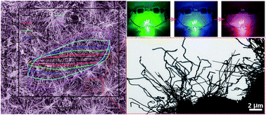 Graphical abstract: Regulating the oxidation degree of nickel foam: a smart strategy to controllably synthesize active Ni3S2 nanorod/nanowire arrays for high-performance supercapacitors