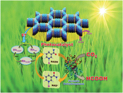 Graphical abstract: A highly efficient covalent organic framework film photocatalyst for selective solar fuel production from CO2