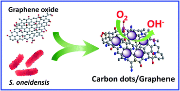 Graphical abstract: Microbe-engaged synthesis of carbon dot-decorated reduced graphene oxide as high-performance oxygen reduction catalysts