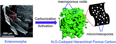 Graphical abstract: N, O-codoped hierarchical porous carbons derived from algae for high-capacity supercapacitors and battery anodes