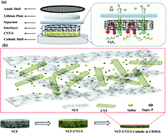 Graphical abstract: In situ synthesis of flexible elastic N-doped carbon foam as a carbon current collector and interlayer for high-performance lithium sulfur batteries