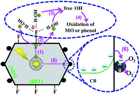Graphical abstract: Highly efficient TiO2 single-crystal photocatalyst with spatially separated Ag and F− bi-cocatalysts: orientation transfer of photogenerated charges and their rapid interfacial reaction
