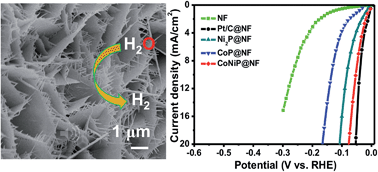 Graphical abstract: Ternary metal phosphide nanosheets as a highly efficient electrocatalyst for water reduction to hydrogen over a wide pH range from 0 to 14