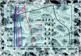 Graphical abstract: An ultra-high-performance anode material for supercapacitors: self-assembled long Co3O4 hollow tube network with multiple heteroatom (C-, N- and S-) doping