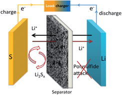Graphical abstract: High performance lithium–sulfur batteries with a permselective sulfonated acetylene black modified separator