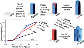 Graphical abstract: Photoelectrochemical water splitting strongly enhanced in fast-grown ZnO nanotree and nanocluster structures