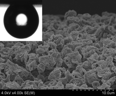 Graphical abstract: Facile preparation of patterned petal-like PLA surfaces with tunable water micro-droplet adhesion properties based on stereo-complex co-crystallization from non-solvent induced phase separation processes