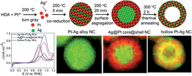 Graphical abstract: From solid to core@shell to hollow Pt–Ag nanocrystals: thermally controlled surface segregation to enhance catalytic activity and durability