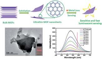 Graphical abstract: Metal–organic framework nanosheets for fast-response and highly sensitive luminescent sensing of Fe3+