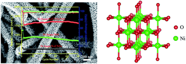 Graphical abstract: High performance NiO nanosheets anchored on three-dimensional nitrogen-doped carbon nanotubes as a binder-free anode for lithium ion batteries