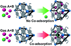 Graphical abstract: Influence of Co-adsorbates on CO2 induced phase transition in functionalized pillared-layered metal–organic frameworks