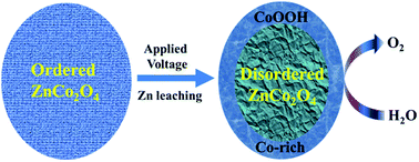 Graphical abstract: Uncovering the prominent role of metal ions in octahedral versus tetrahedral sites of cobalt–zinc oxide catalysts for efficient oxidation of water