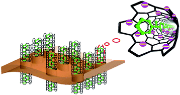 Graphical abstract: Flexible supercapacitors based on a polyaniline nanowire-infilled 10 nm-diameter carbon nanotube porous membrane by in situ electrochemical polymerization